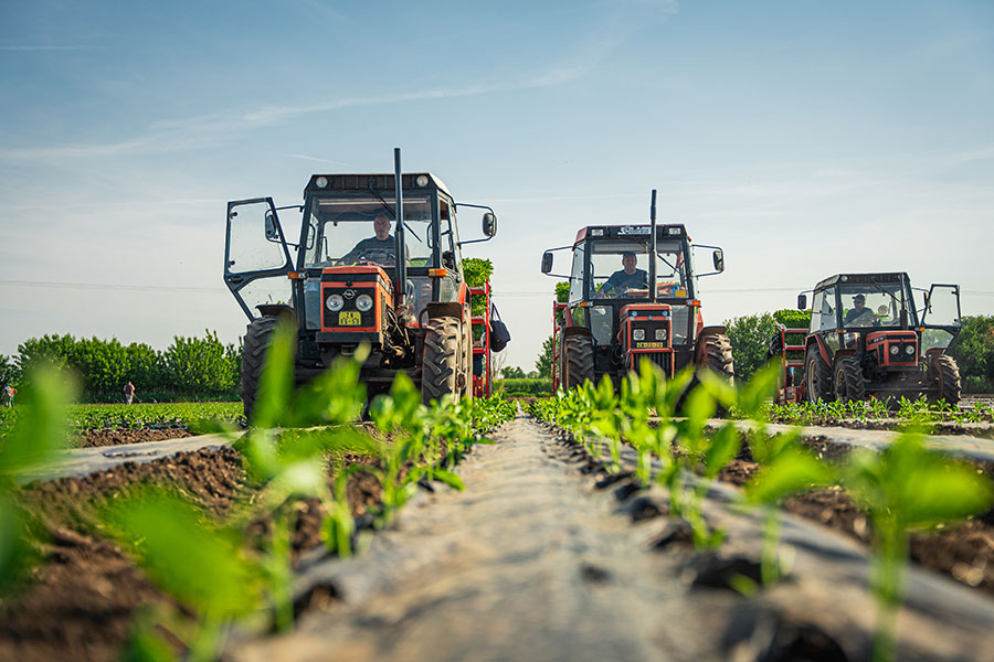 Traktory na poli